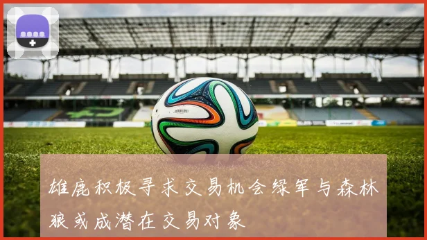 雄鹿积极寻求交易机会绿军与森林狼或成潜在交易对象
